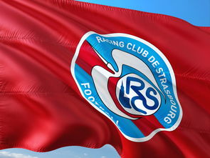 澳亚国际app-帕尔梅拉斯球队目标明确，誓夺世俱杯最高荣誉