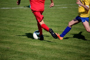 澳亚国际手游官网-巴黎圣日耳曼球员接受德甲俱乐部邀请，巴黎圣日耳曼足球俱乐部阵型